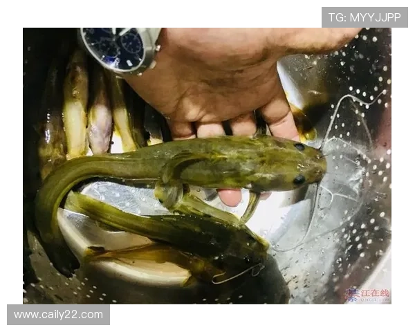 探索钱柜777:如何在娱乐中实现财富增值的秘诀